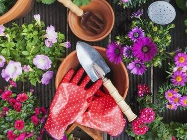 JARDINERIA